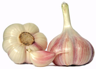 Knoblauch