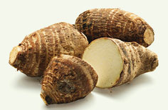 Yams Yamswurzel