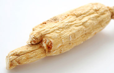 Ginseng (Panax ginseng)
