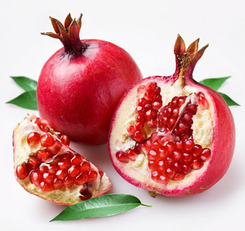 Granatapfel (Punica granatum)